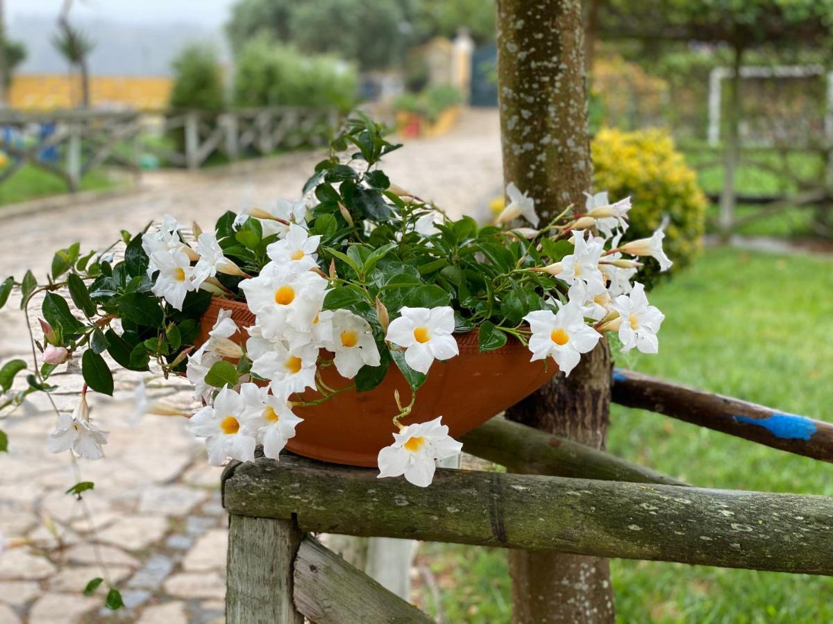 Charm Azenha Dobidos Farm Villa Olho Marinho Exterior photo
